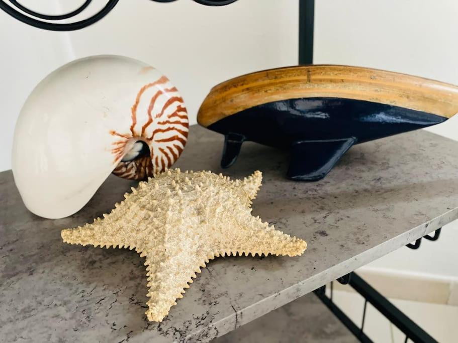 La Venezia'S Studio Flat ليفورنو المظهر الخارجي الصورة